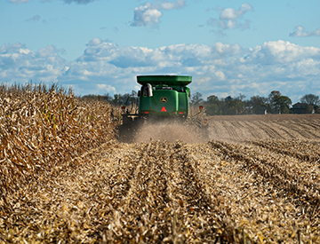 U.S. Grains Council