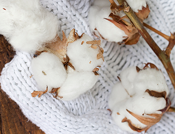 Cotton Fairs and Orientation Tours Develop Business for U.S. Cotton