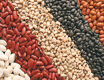 U.S. Dry Bean Council