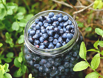 U.S. Highbush Blueberry Council