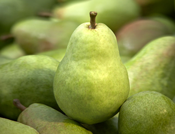 USA Pears